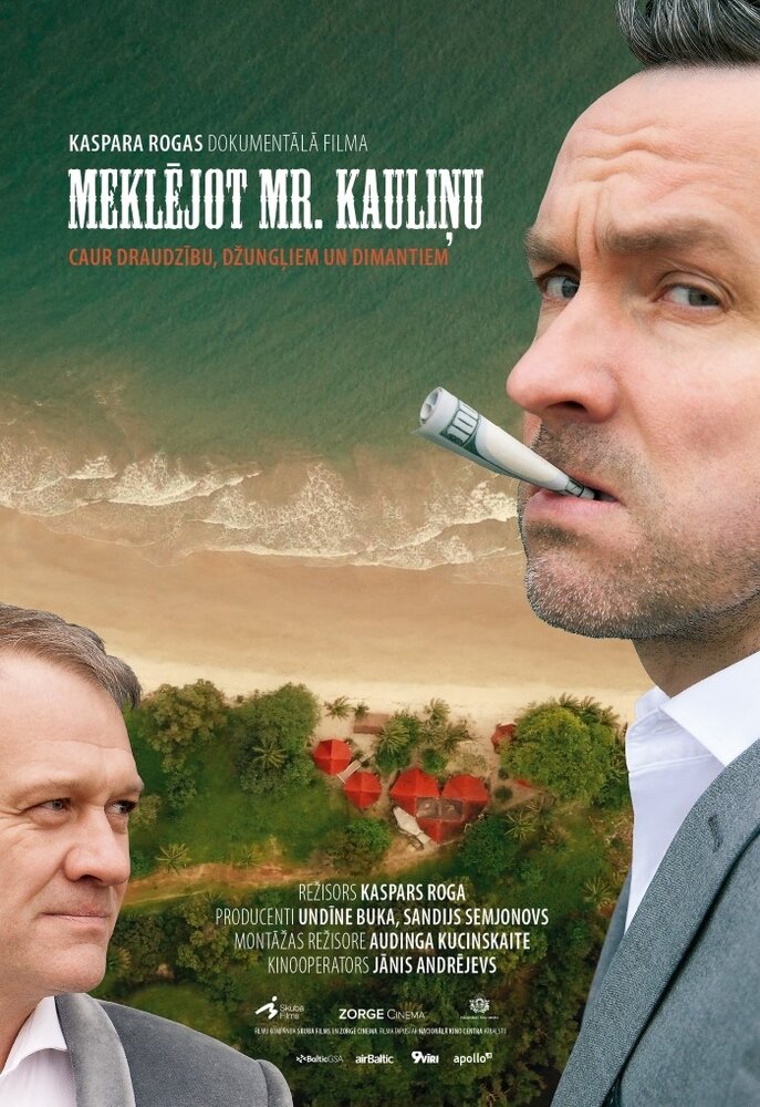 В поисках мистера Каулиня (2019) постер