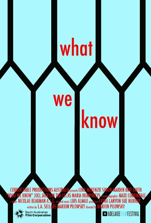 What We Know (2015) постер