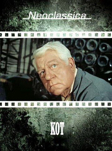 Кот (1971)